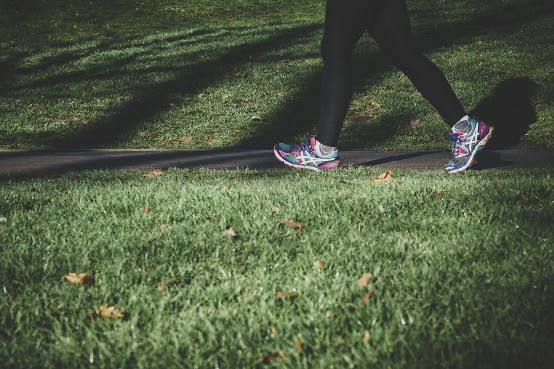 The best walking shoes for daily use: a complete 2026 buyer’s guide The best walking shoes for daily use: a complete 2026 buyer’s guide